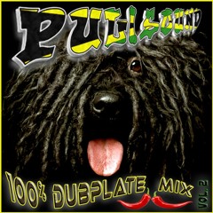 100% Dubplate Mix - Volume 2 by PULISOUND
