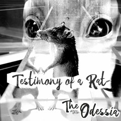 Rat Park: The Testimony of a Rat (Episode 5)