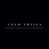 Ed Shareen Shape Of You Cold Trails Future Bass Remake Mp3