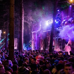 Moduse - Rave In The Woods 2017 @ Electric Picnic '17