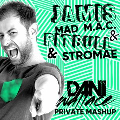 Jamis ,MAD M.A.C. & Pitbull & Stromae - Renegade Hotel Danse (Dani Wallace Private Mashup)