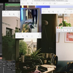 Loose [Flip] v2.wav 09.09.17