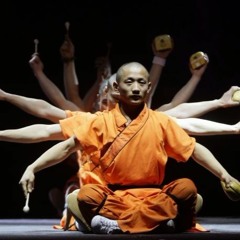 Shaolin kung fu