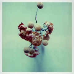 Shouldn't Have To Be This Way