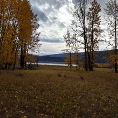 Seeing Through This Darkness