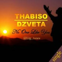 ThabisoDzveta@llg_tunes - Noone like you