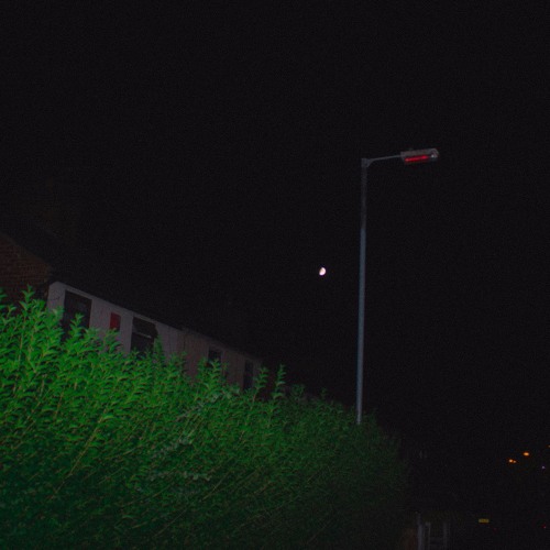 Sleepless Nights