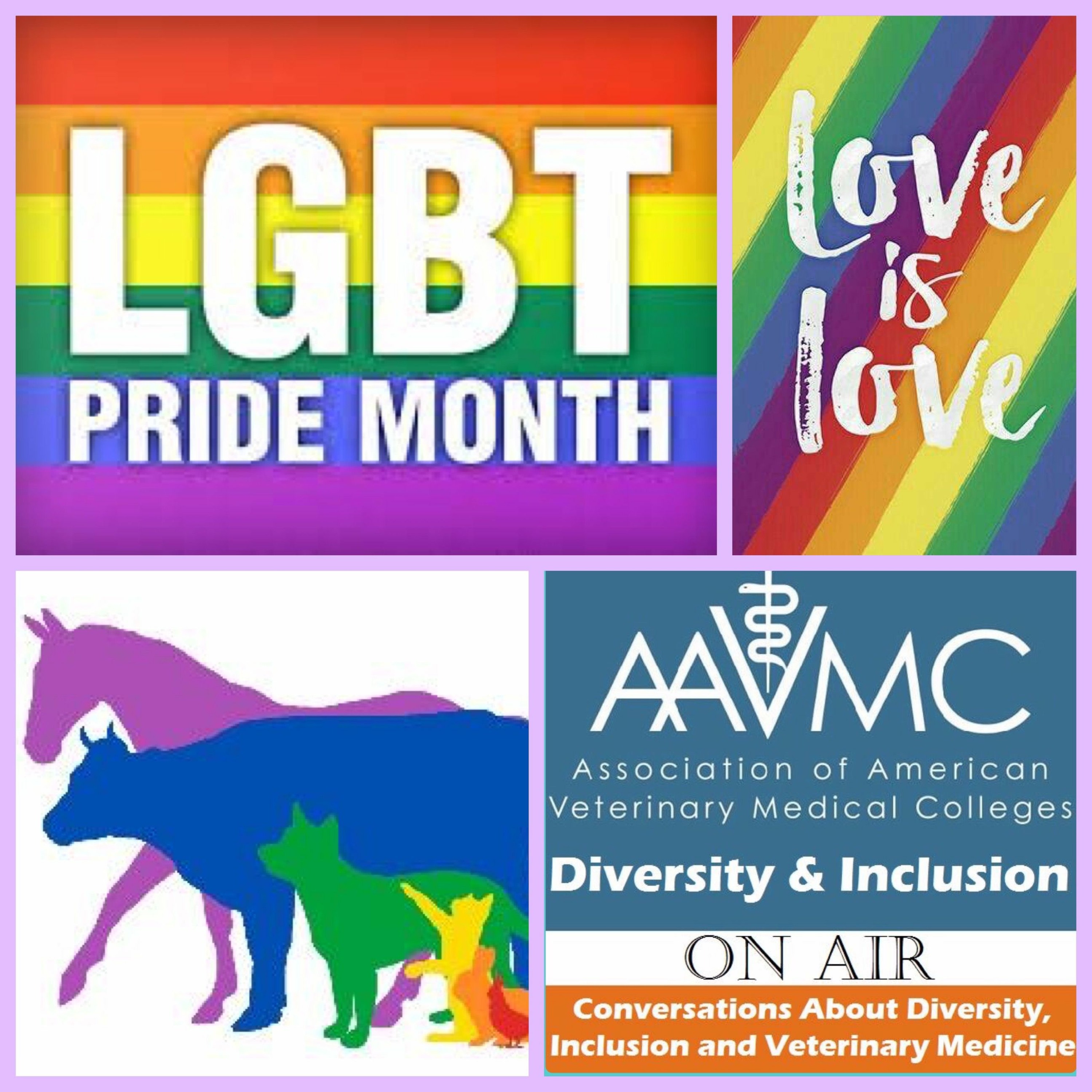 26: 2017 Pride Month episode artwork