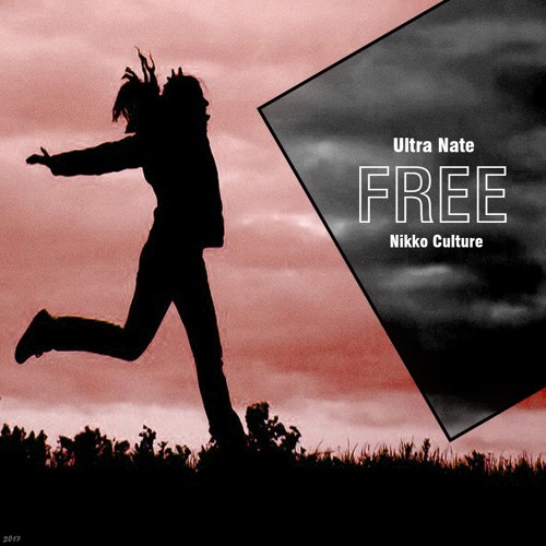 Stream Ultra Nate - Free (Nikko Culture Remix) by nikkoculture | Listen  online for free on SoundCloud
