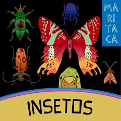 INSETOS