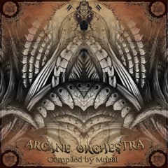 Intraception - Occult Frequencies - VA Arcane Orchestra
