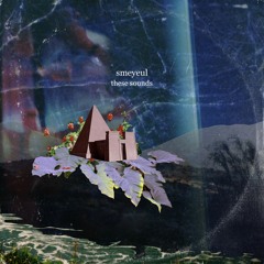 more than noise - smeyeul