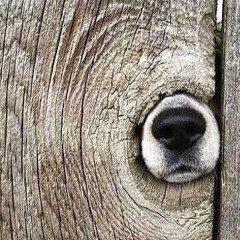 Hot track Number 9 Techno