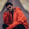 The Weeknd Down Low Full Song Mp3