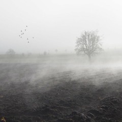 dark fields (Prod. Arnold!)