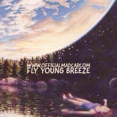 Fly Young Breeze