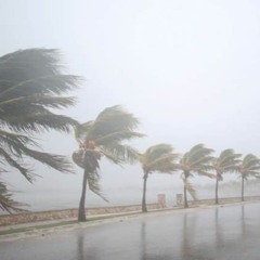 Category 5