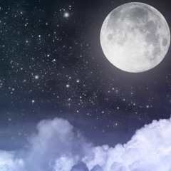 MIDNIGHTT >Progession< !?!?!