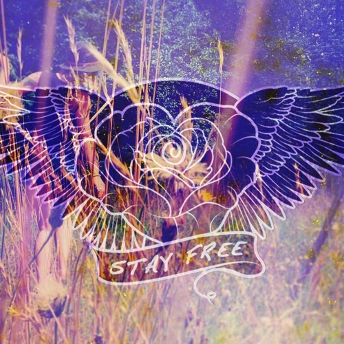 Stay Free