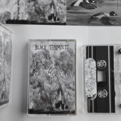 Black Trumpets: Her Landing