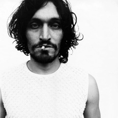I Wrote This Song For The Guy Vincent Gallo