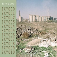 TeTe Noise - ZXY004