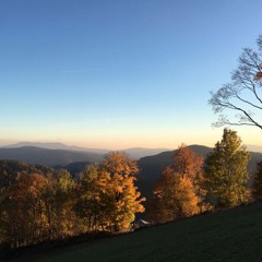 würstel im schlafrock (prod. by skyfarmer)