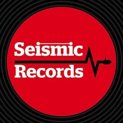 Dubvine - Seismic Records Promo Mix 2013