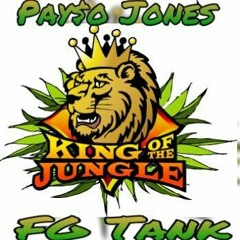 Pay$o Jones X FG Tank - King Of Da Jungle.mp3