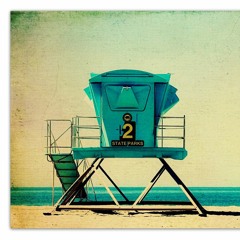 ENDLESS SUMMER VIBES # 17