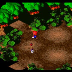Double Of The Forest's Mushrooms [Extended]