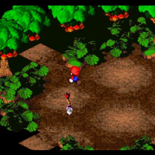 Double Of The Forest's Mushrooms [Extended]