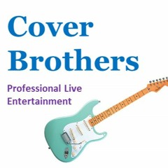 The Beatles - Day Tripper