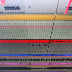 Ataxia - The Sides (Cover)