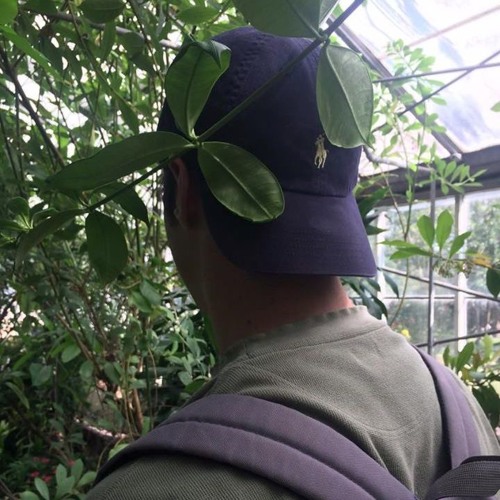back (prod. killedmyself)