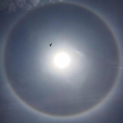 Bend the Knee (FREE DOWNLOAD)