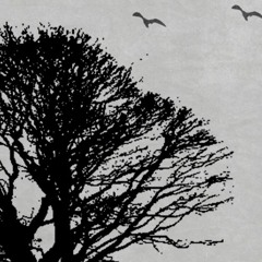 "static" feat. young traversie