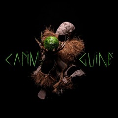 CAPIM GUINE