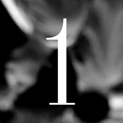 Below: One Year Anniversary Party @ Robinia Courtyard 9/8/2017