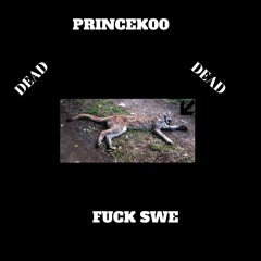 Princek00 - Fuck Swe