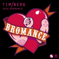 Tim Berg a.k.a. Avicii, Steven Redant - Seek Bromance (Faust!ni & Samuel Grossi Mash!)