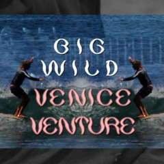 Big Wild - Venice Venture (Throw Some D's) ft. Rich Boy