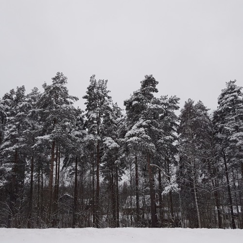 What will it be like tomorrow