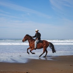 They Call Em' (prod. Kid Ocean)