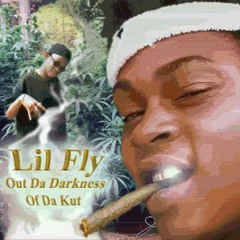 Lil fly - Funky Town`s In My Brain