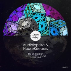 PREMIERE: Audioleptika & HouseKeepers — Black Box (Thomas Stieler Remix) [Lauter Unfug Musik]