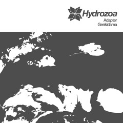 Adapter - Genkidama (Original Mix) Preview [Hydrozoa]