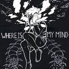 Heart Bursts Into Fire // Acoustic