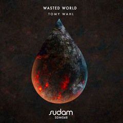 Tomy Wahl - D.A.M (Original Mix) [Sudam Recordings]