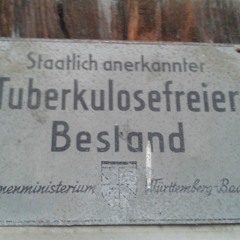Alles Freaks